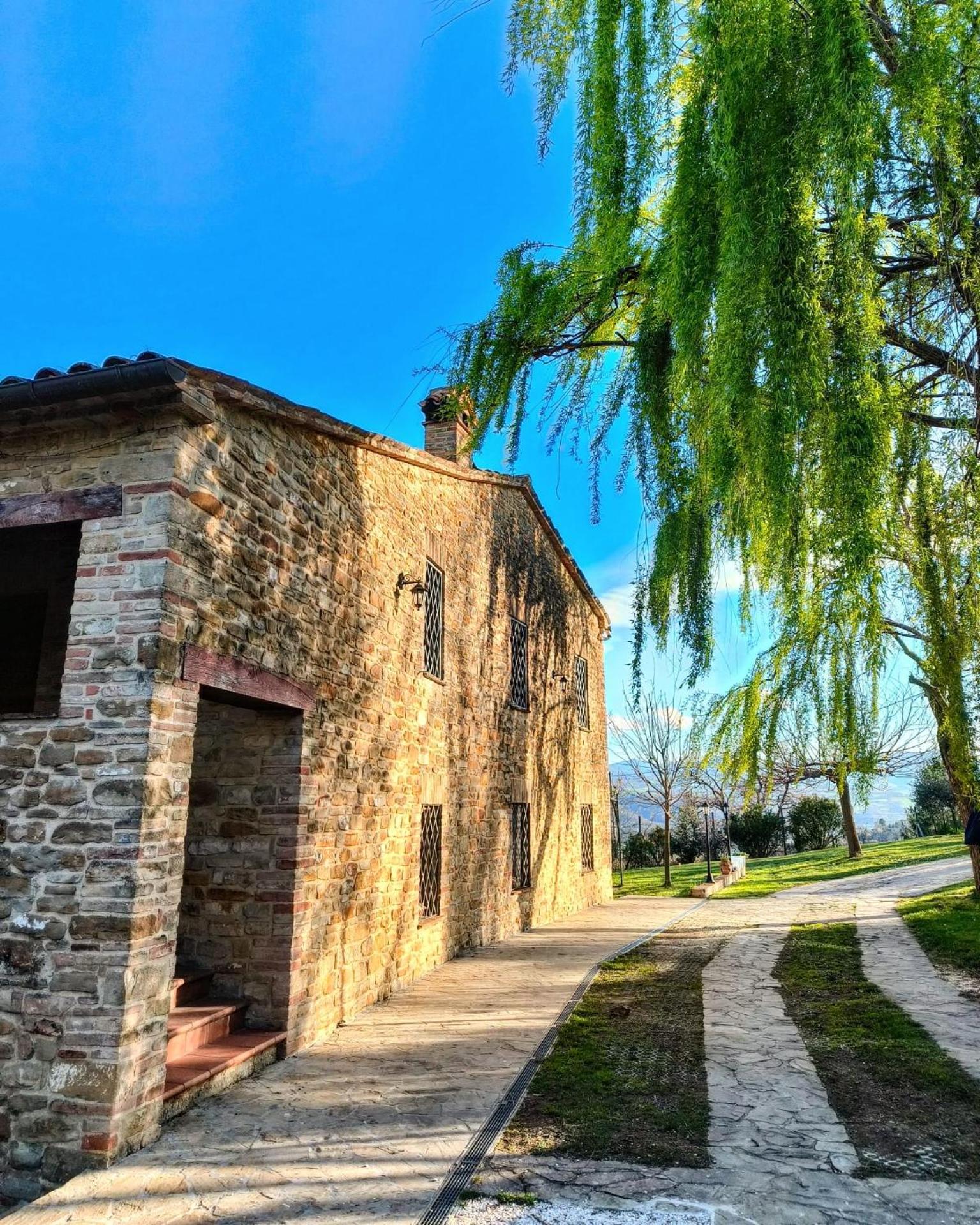 B&B Nel Vigneto Castelplanio Exterior foto